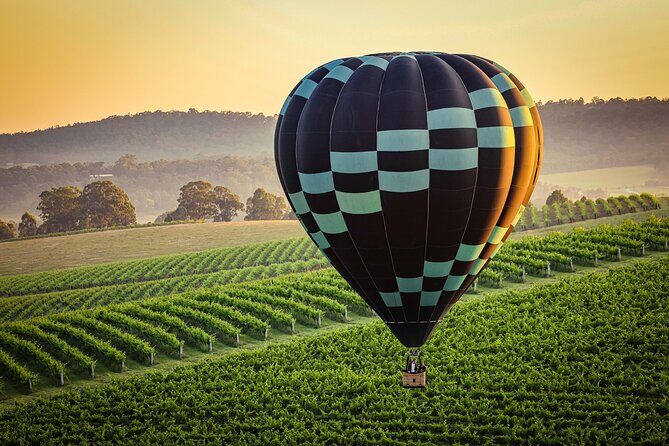 Midweek Hot Air Balloon Flight at Hunter Valley - Who Is This Tour Best For?