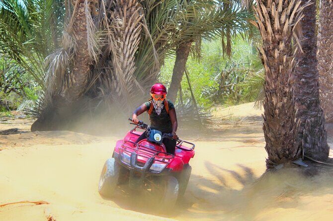Migriño Beach ATV and Horseback Riding Experience - Why You Should Consider This Experience