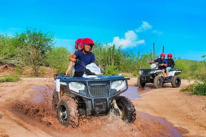 Migriño Beach ATV Extreme Adventure - Migriño Beach ATV Extreme Adventure: A Practical Review of Bajas Rugged Thrills