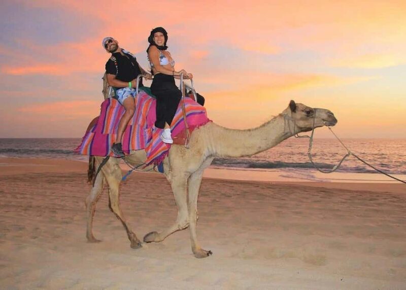 Migrino Beach Camel Ride with Lunch, Photos, & Drinks - Savoring Baja: Lunch and Spirits