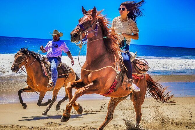 Migriño Beach Horseback Riding Experience - An In-Depth Look at the Migriño Beach Horseback Riding Tour