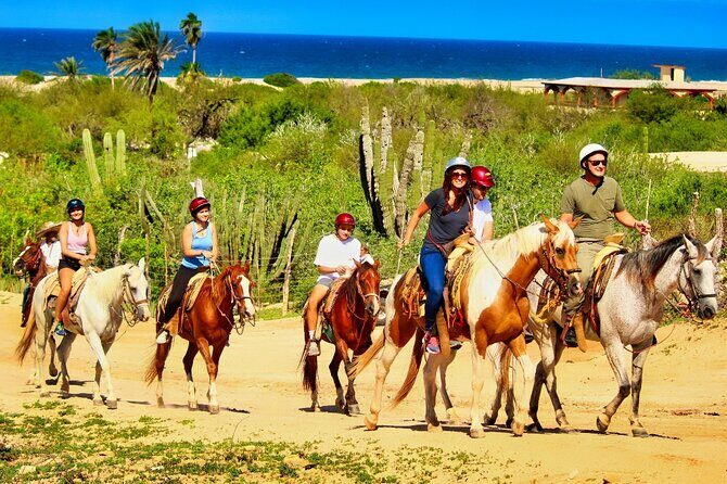 Migriño Beach Horseback Riding Experience - The Sum Up
