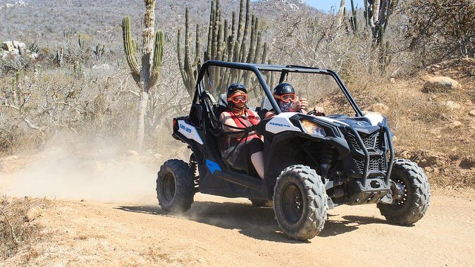 Migriño & Desert off-road Tour UTV Adventure - What You Should Know Before Booking