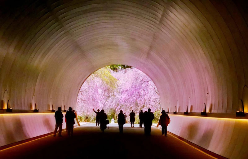 Miho Museum & Old Chikurin-in & Hiyoshi Taisha Shrine on Mount Hiei & Lake Biwa-Shirahige Shrine One-Day Tour (Osaka/Kyoto pick-up and drop-off available) - What the schedule means in practice