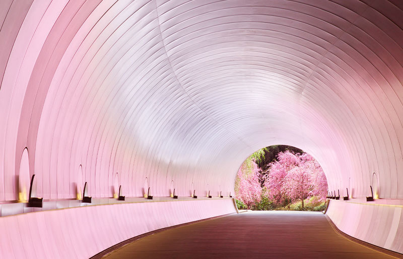 Miho Museum & Old Chikurin-in & Hiyoshi Taisha Shrine on Mount Hiei & Lake Biwa-Shirahige Shrine One-Day Tour (Osaka/Kyoto pick-up and drop-off available) - Price, extras, and the real value