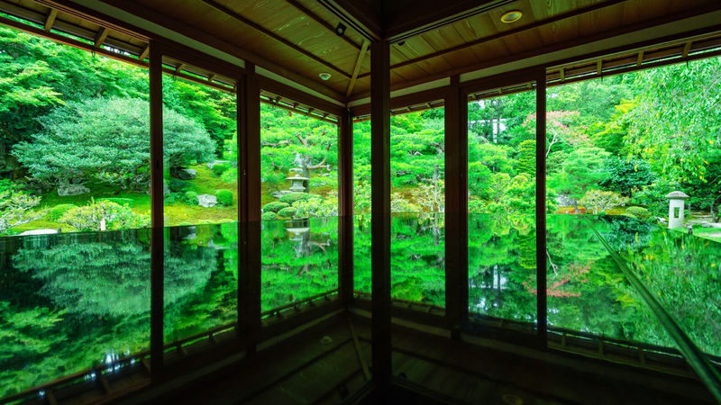Miho Museum & Old Chikurin-in & Hiyoshi Taisha Shrine on Mount Hiei & Lake Biwa-Shirahige Shrine One-Day Tour (Osaka/Kyoto pick-up and drop-off available) - Should you book this day tour?