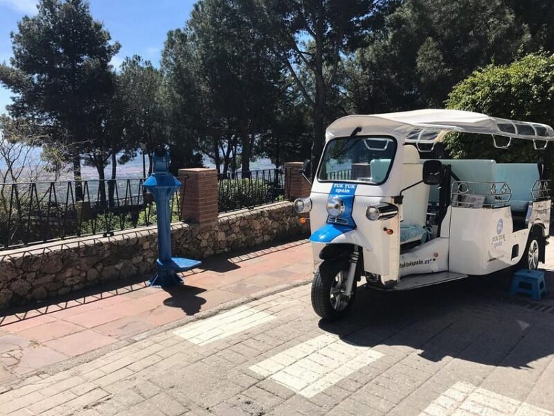 Mijas: Panoramic city tour with an electric Tuk Tuk - Who Should Consider This Tour?