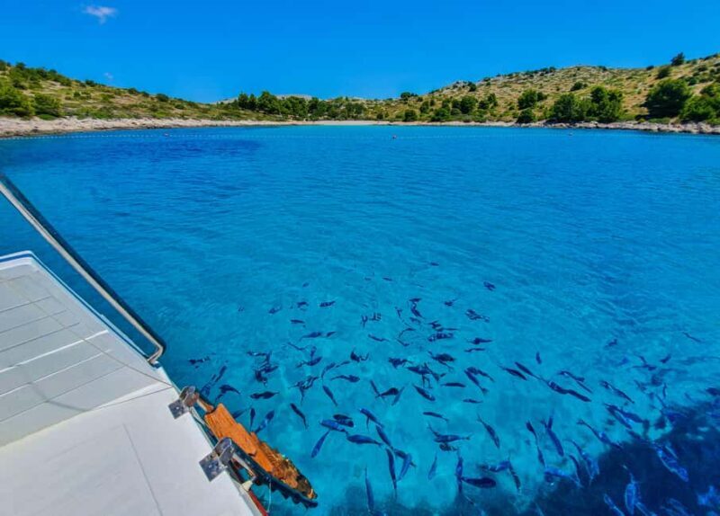 Mikado Kornati Excursion with snorkeling and hiking stops - Practical Tips for Travelers