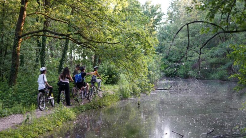 Milan: Bike Tour with Picnic on the turtle lake - An In-Depth Look at the Milan Bike Tour with Picnic
