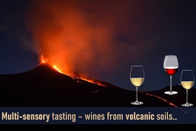 Milan: sensory journey to discover 3 unmissable red wines - Key Points