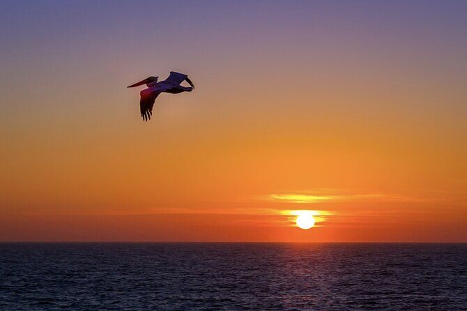 Milbi Sunset Cruise with Champagne and Prawns - Final Thoughts