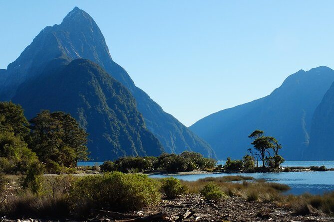 Milford Sound Discovery Tour - An In-Depth Look at the Milford Sound Discovery Tour