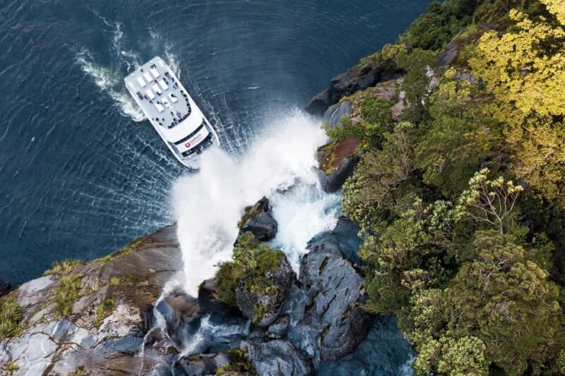 Milford Sound: Nature Cruise - Grand Views & Optional Lunch - Who Should Book This Tour?