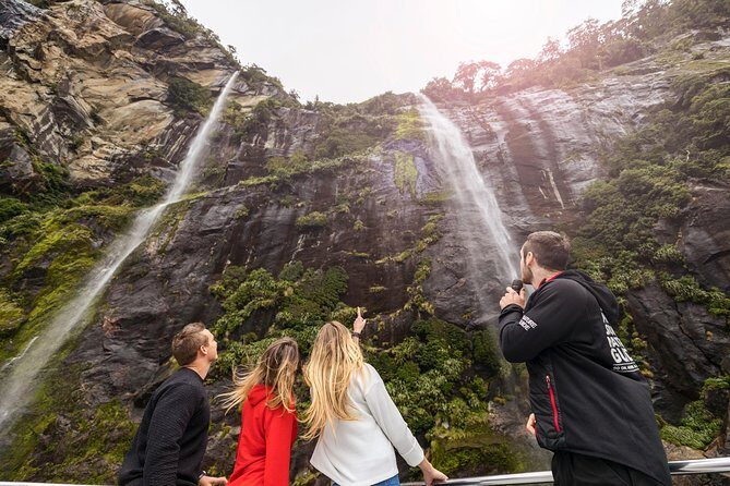 Milford Sound Nature Cruise with Southern Discoveries - Key Points