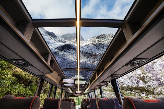 Milford Sound Premium Coach & Cruise from Queenstown with Lunch - A Deep Dive into the Milford Sound Experience
