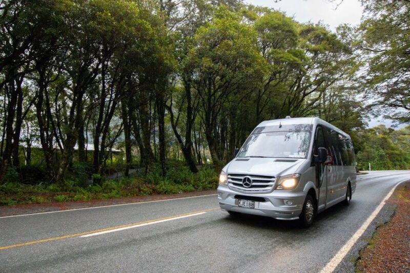 Milford Sound: Premium Small Group Tour from Queenstown - In The Sum Up