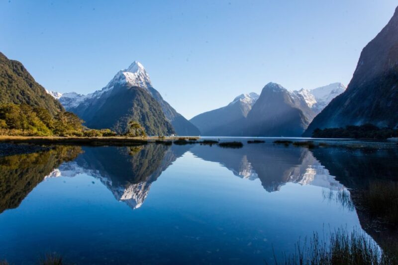 Milford Sound Scenic Helicopter Flight with Landing - The Sum Up