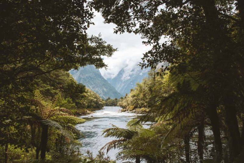 Milford Sound: Self-Guided Milford Track Day Walk - Final Thoughts