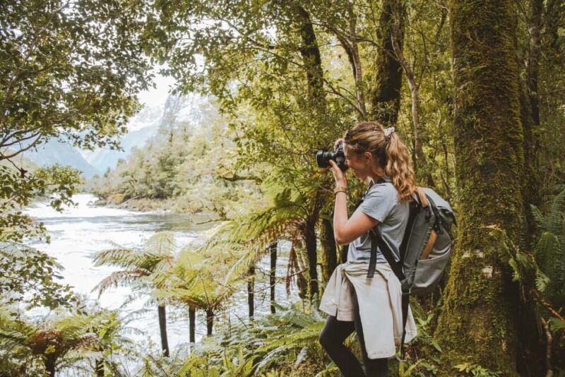 Milford Sound: Self-Guided Milford Track Day Walk - FAQ