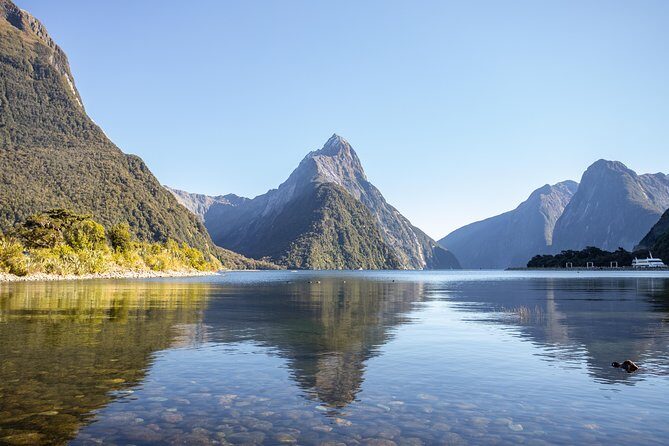 Milford Sound Small Group Tour from Queenstown with Scenic Flight - Who Should Consider This Tour?