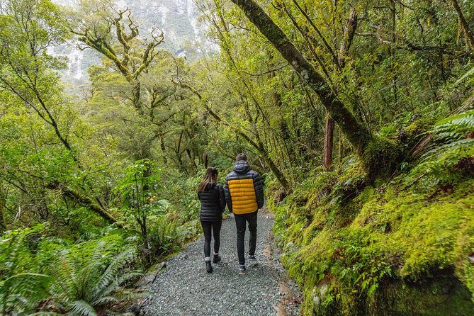 Milford Sound Small Group Tour from Queenstown with Scenic Flight - Final thoughts
