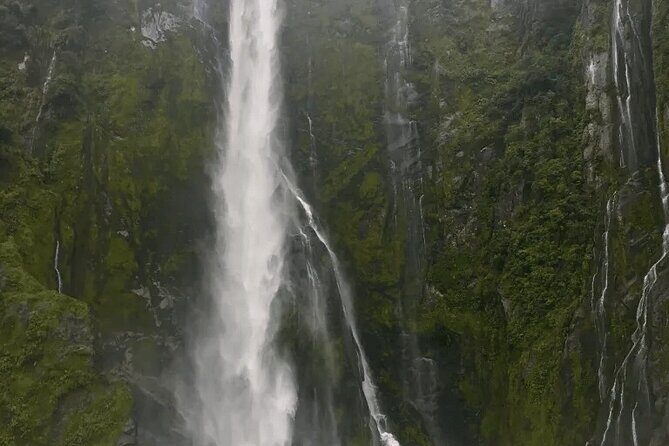 Milford Sound Tour from Queenstown with Scenic Cruise - Practical Details: What You Need to Know