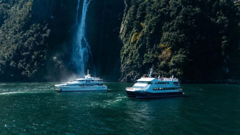 Milford Sound: Waterfalls, Wildlife, and Rainforest Cruise - Discover Milford Sound: Waterfalls, Wildlife, and Rainforest Cruise