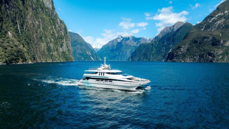 Milford Sound: Waterfalls, Wildlife, and Rainforest Cruise - Analyzing the Value