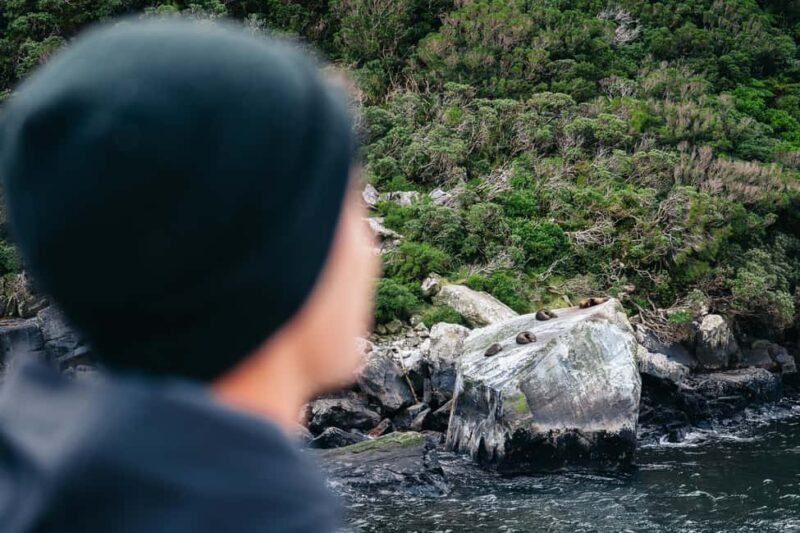 Milford Sound: Waterfalls, Wildlife, and Rainforest Cruise - Final Thoughts