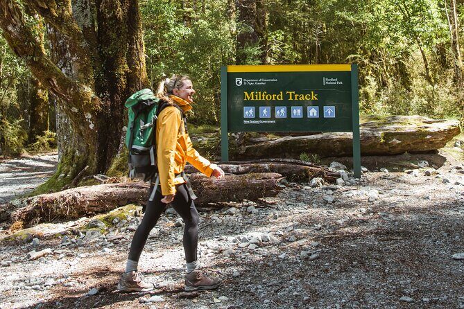 Milford Track Day Walk with Lake Te Anau Water Taxi - Introduction: An Accessible Way to Experience Milfords Beauty