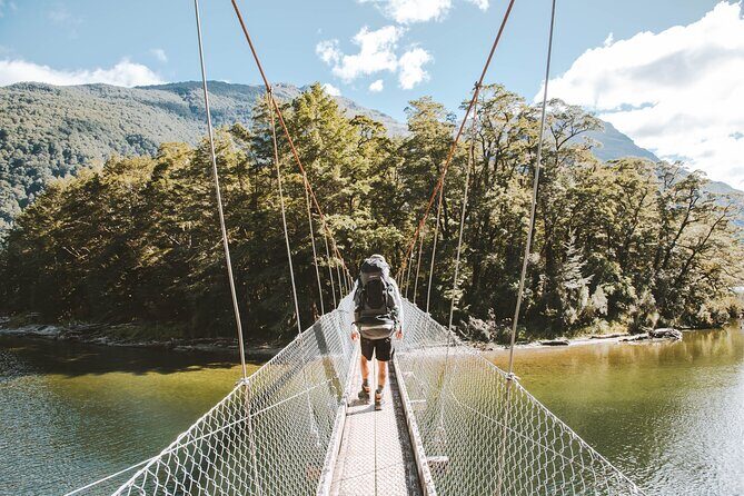 Milford Track Day Walk with Lake Te Anau Water Taxi - Who Is This Tour Best For?