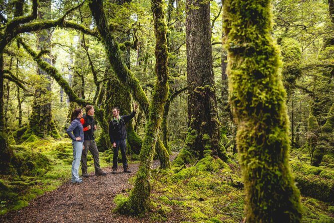 Milford Track Day Walk with Lake Te Anau Water Taxi - FAQ