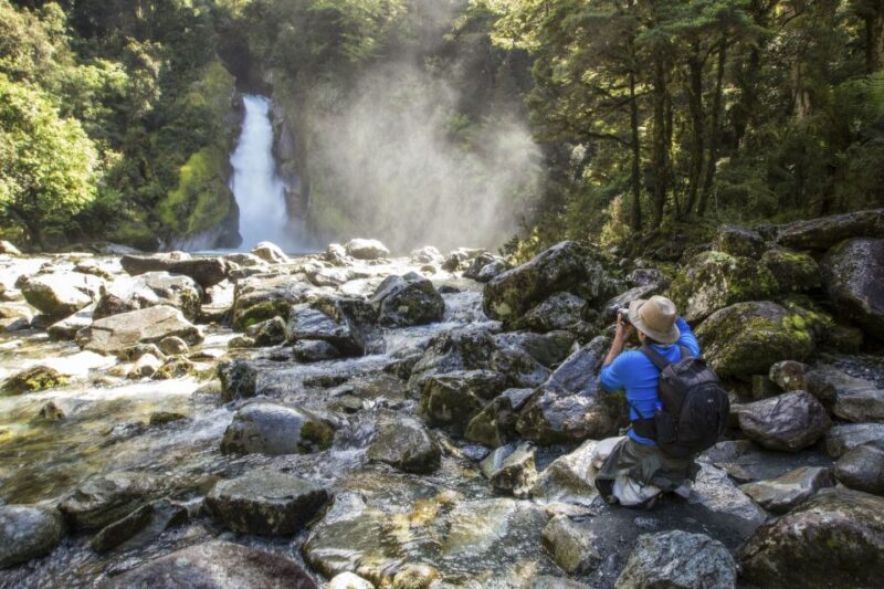 Milford Track: Full Day Guided Hike and Nature Cruise - The Sum Up