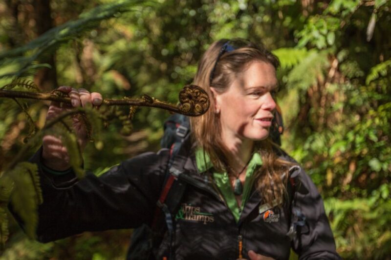 Milford Track: Full Day Guided Hike and Nature Cruise - FAQ