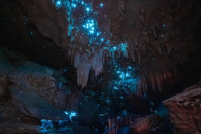 Milky Way Glowworm Cave Tour - Who Is This Tour Best For?