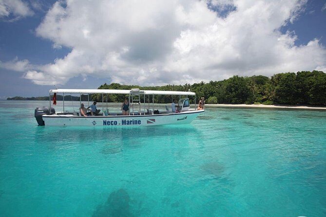 Milky Way, Shark City Island, Beach and Rock Island Tour - What We Appreciate About This Tour