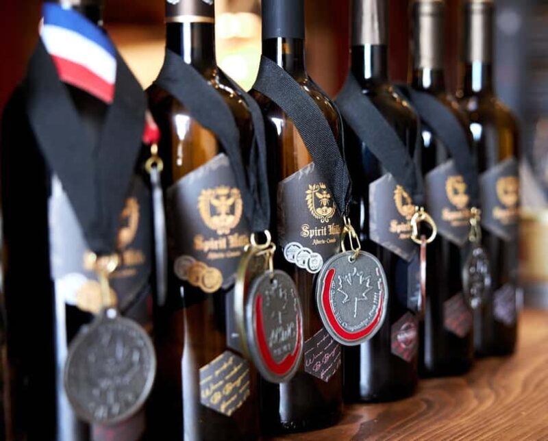 Millarville: Spirit Hills Flower Wine Tasting - Final Thoughts: Who Will Love This Experience?