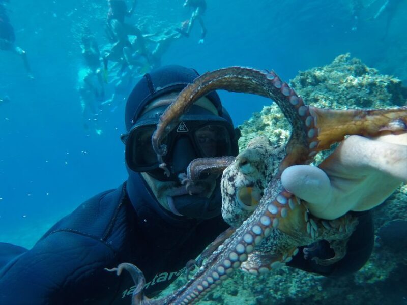 Milos: Half-Day Speedboat Cruise to Klefiko with Snorkeling - An Authentic and Thrilling Way to See Milos