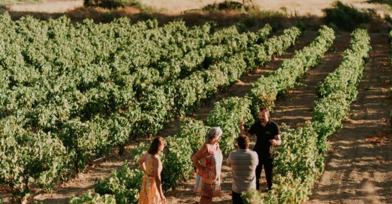 Milos Island: Kostantakis Winery Wine Tasting Experience - Additional Details and Practicalities