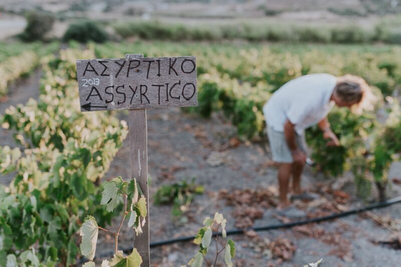 Milos Island: Kostantakis Winery Wine Tasting Experience - The Authentic Charm That Keeps Visitors Coming Back