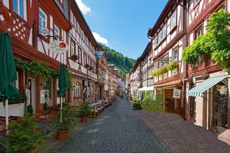 Miltenberg - Private Walking Tour - The Sum Up