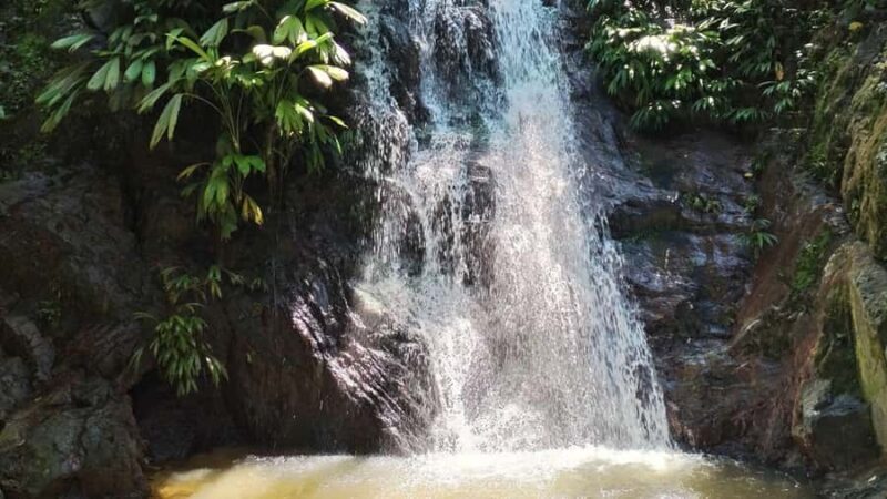 Minca: Hidden Waterfall + Coffee and Cocoa Workshop - Key Points