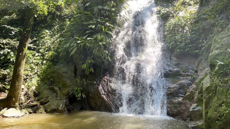 Minca: Hidden Waterfall + Coffee and Cocoa Workshop - Why This Tour Works Well