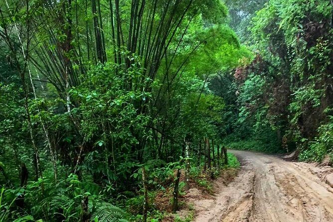 MINCA TOUR - Explore waterfalls and discover the origin of coffee and cocoa - Key Points