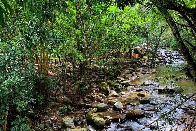 MINCA TOUR - Explore waterfalls and discover the origin of coffee and cocoa - A Deep Dive into the Experience