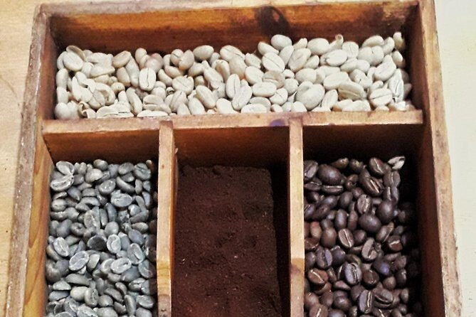 MINCA TOUR - Explore waterfalls and discover the origin of coffee and cocoa - Who Should Consider This Tour?