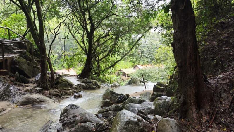 Minca, Waterfalls & Coffee Farm Tour - The Bottom Line: Is This Tour Worth It?