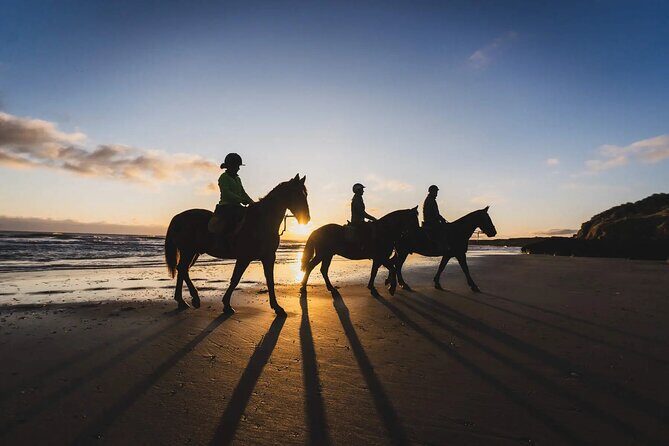 Mindful Horseback Escape  Kissamos - Discover the Mindful Horseback Escape in Kissamos – A Beautiful Blend of Nature, Culture, and Calm