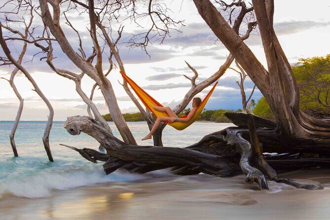 Mindful Meditation and Dharma Talks around the Big Island - Why This Tour Is a Great Choice