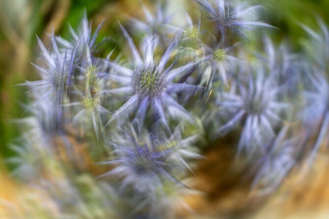Mindful Photo Walk at Princess Pavilion & Gyllyngdune Gardens - Itinerary Breakdown: A Closer Look